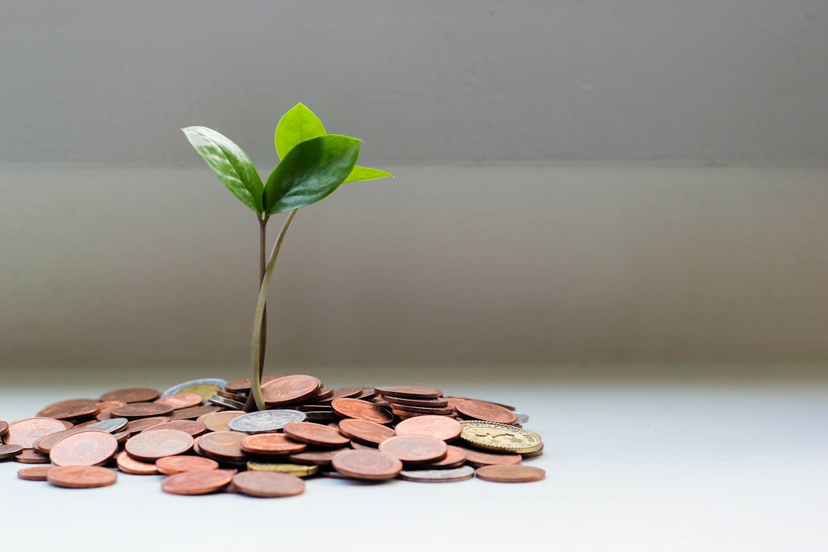 Pay-in & pay-out from one platform.