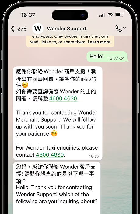 Wonder Support conversation on WhatsApp